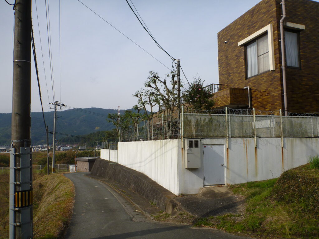 庭木の手入れ・大木の間伐